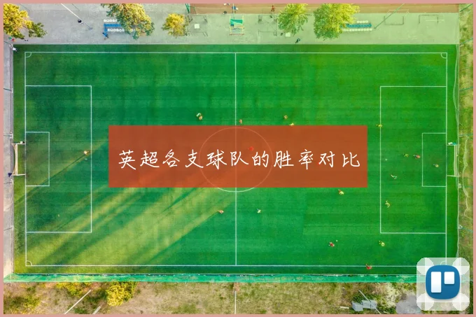 英超各支球队的胜率对比