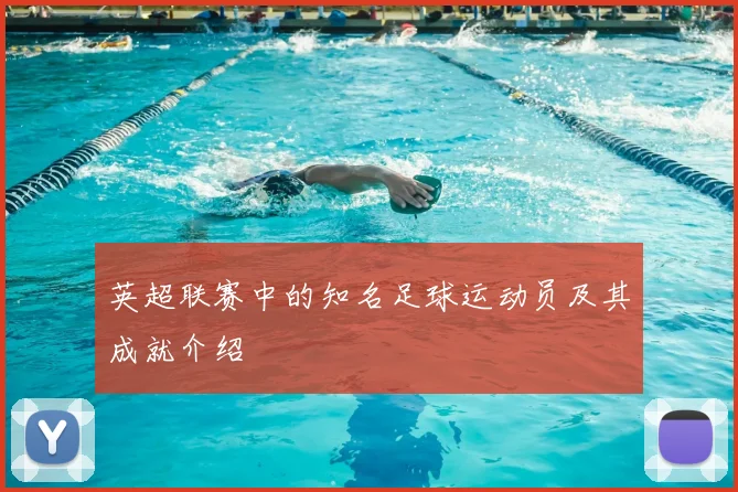 英超联赛中的知名足球运动员及其成就介绍