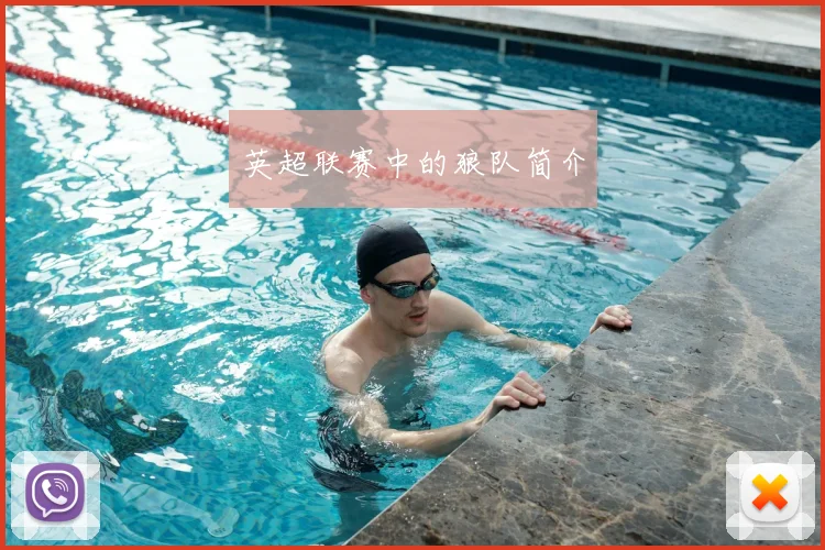 英超联赛中的狼队简介