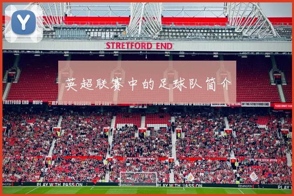 英超联赛中的足球队简介
