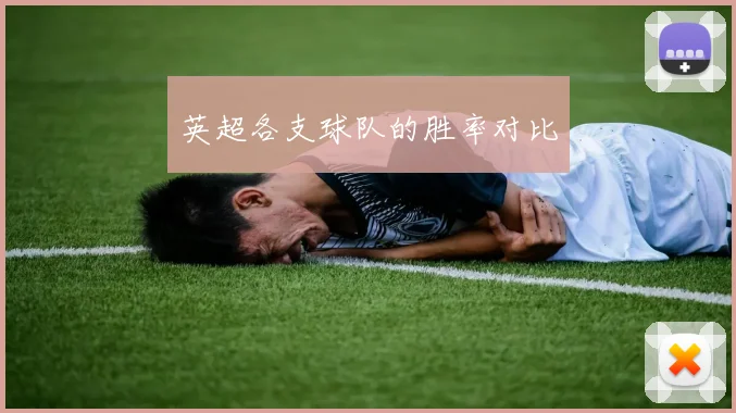 英超各支球队的胜率对比