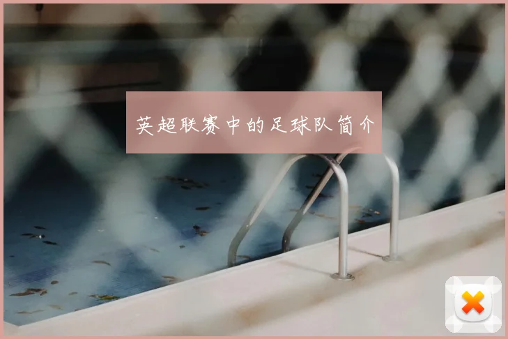 英超联赛中的足球队简介