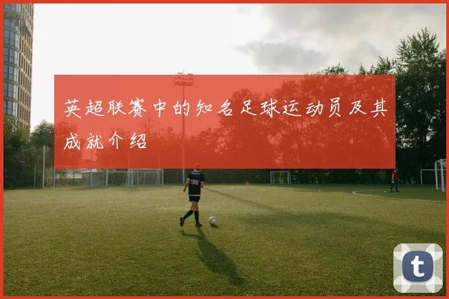 英超联赛中的知名足球运动员及其成就介绍
